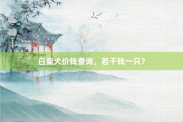 白柴犬价钱查询，若干钱一只？